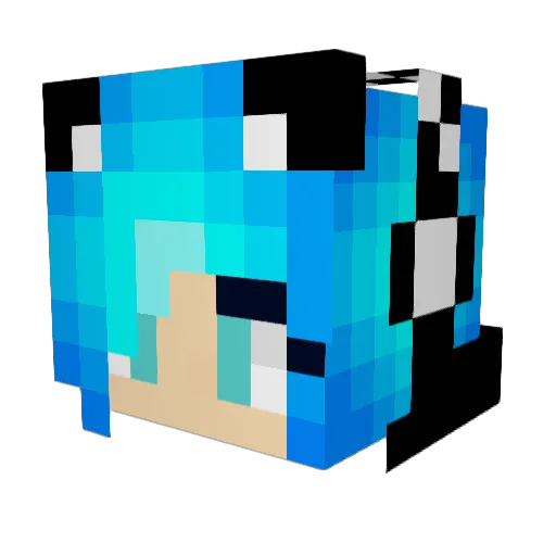 pxgsr666 Minecraft avatar head, 3D render