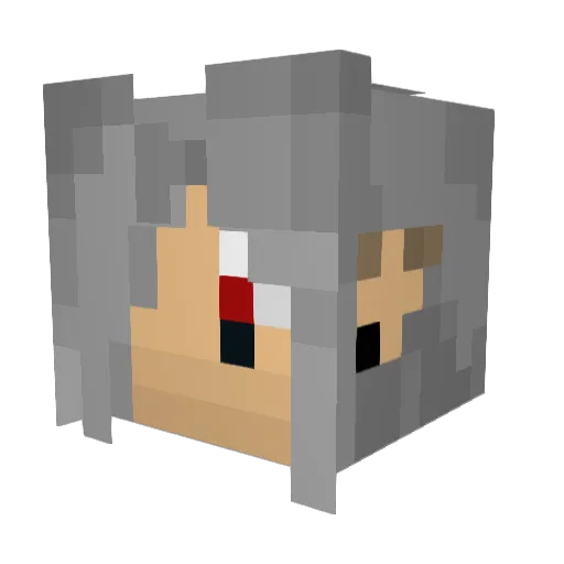 pxhxn Minecraft avatar head, 3D render