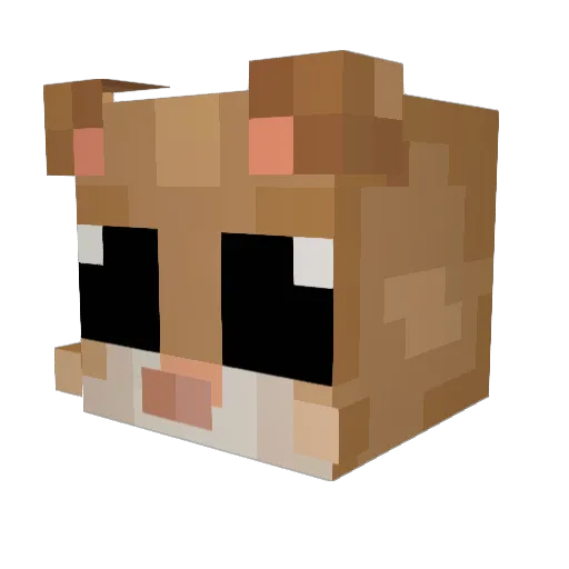 pxjaro Minecraft avatar head, 3D render