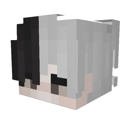 pxranoia Minecraft avatar head, 3D render