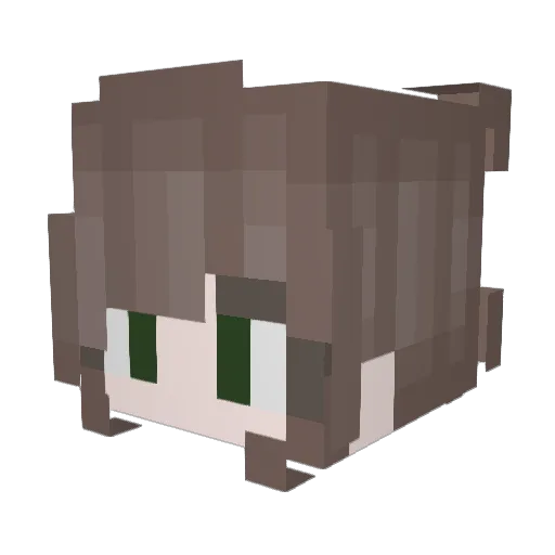 pxybex3 Minecraft avatar head, 3D render