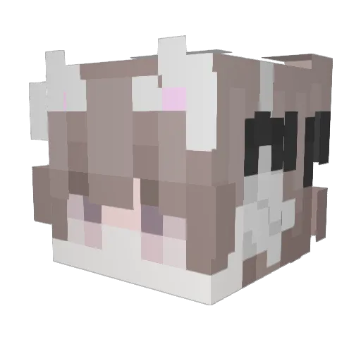 pyanexy Minecraft avatar head, 3D render