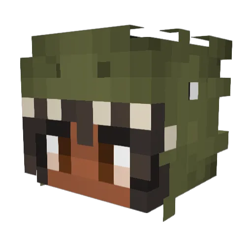 pyelet Minecraft avatar head, 3D render