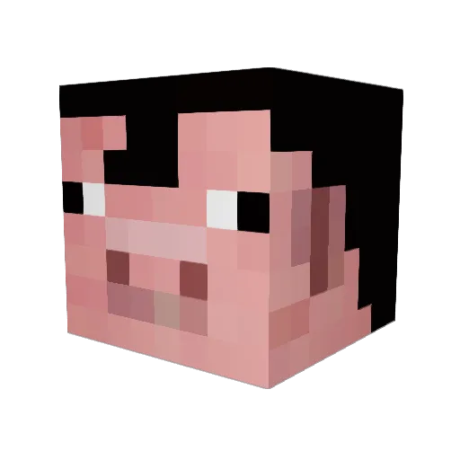 pyer14 Minecraft avatar head, 3D render