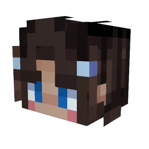 pyjamabottoms149 Minecraft avatar head, 3D render