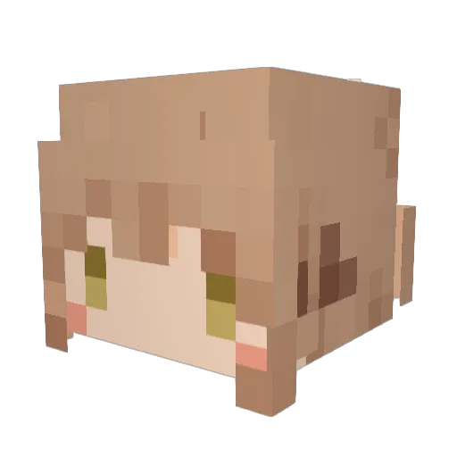 pyocoppy Minecraft avatar head, 3D render
