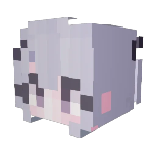 pyowoo Minecraft avatar head, 3D render