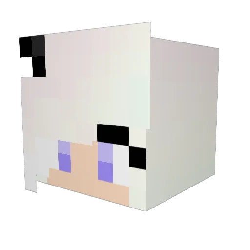 pypski Minecraft avatar head, 3D render