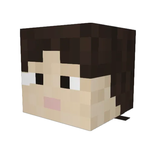 pyr0fee Minecraft avatar head, 3D render