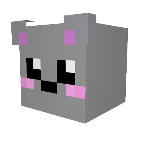 pyra2137 Minecraft avatar head, 3D render