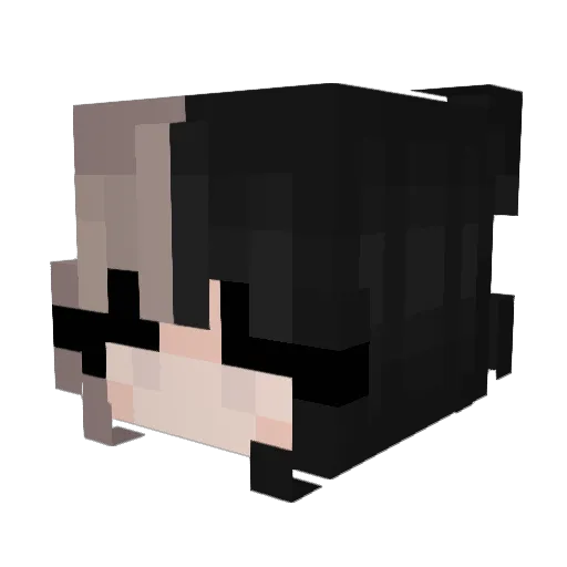pyuupa Minecraft avatar head, 3D render