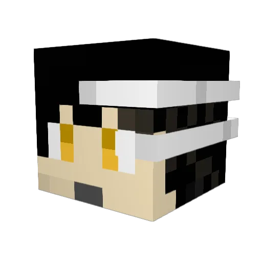 pywa Minecraft avatar head, 3D render