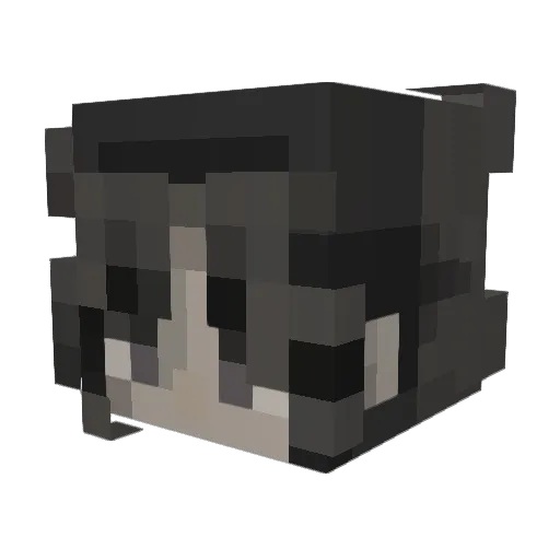 pyximo Minecraft avatar head, 3D render