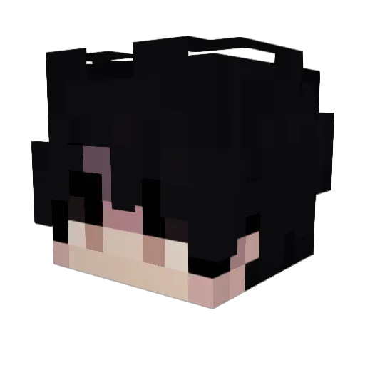 pz29 Minecraft avatar head, 3D render