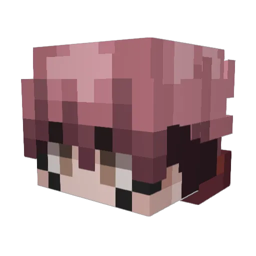 pzh Minecraft avatar head, 3D render