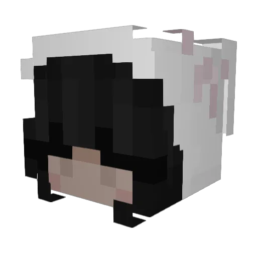 pznk Minecraft avatar head, 3D render