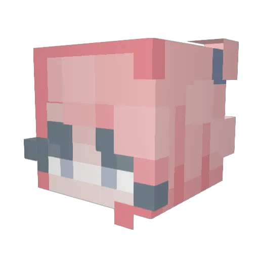 pzoe_ Minecraft avatar head, 3D render