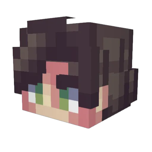 q1zZ2 Minecraft avatar head, 3D render