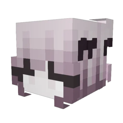 q9nw0 Minecraft avatar head, 3D render