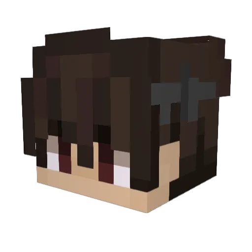 qBata_ Minecraft avatar head, 3D render