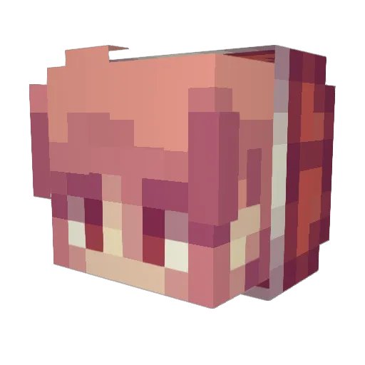 qCeram1ca Minecraft avatar head, 3D render