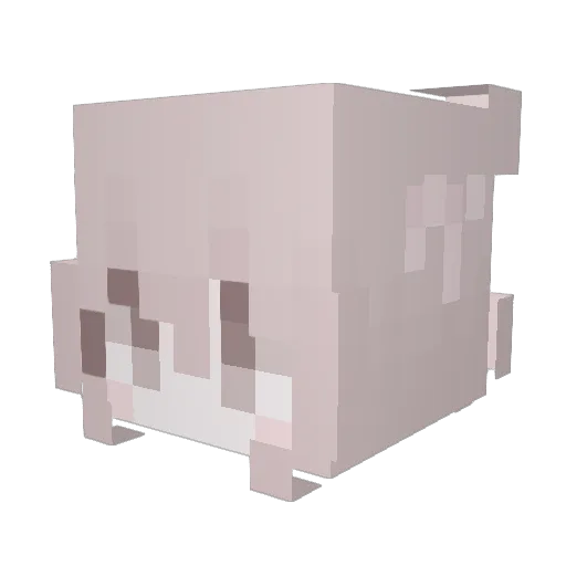 qCookie Minecraft avatar head, 3D render