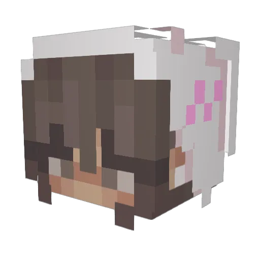 qHottey Minecraft avatar head, 3D render