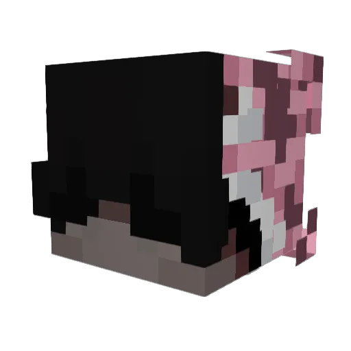 qHxd Minecraft avatar head, 3D render