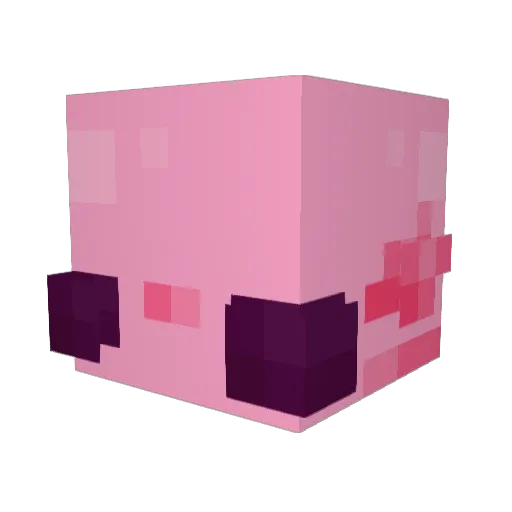 qInov Minecraft avatar head, 3D render