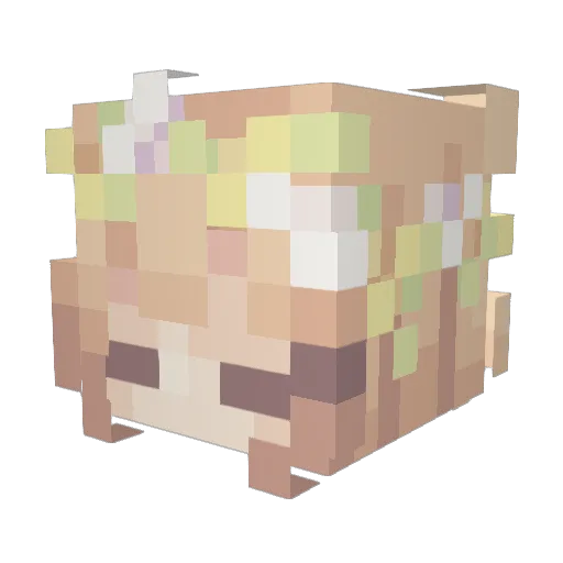 qMivia Minecraft avatar head, 3D render