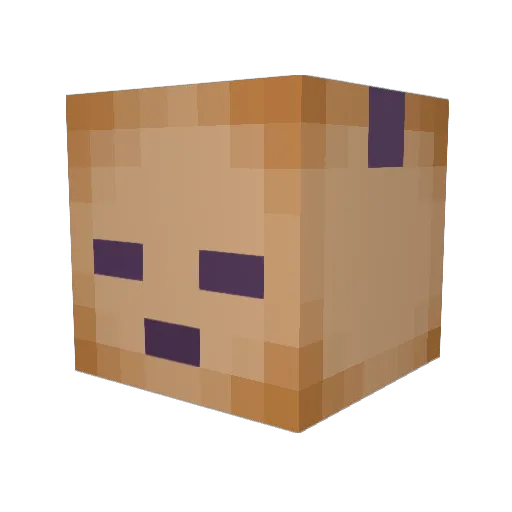 qNazonp Minecraft avatar head, 3D render