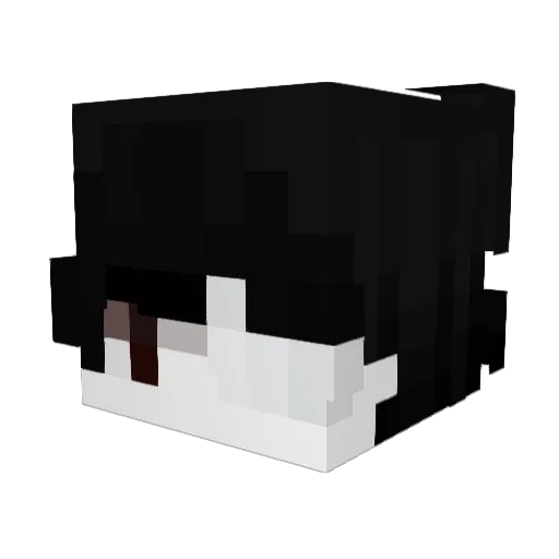 qNtyy Minecraft avatar head, 3D render