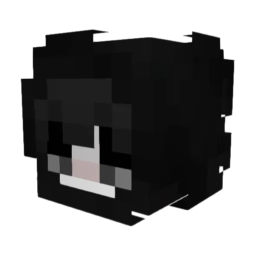 Minecraft-Avatar von qSieteh: Kopf als 3D-Render