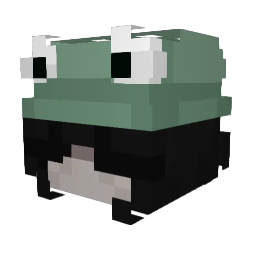 qSnax_ Minecraft avatar head, 3D render
