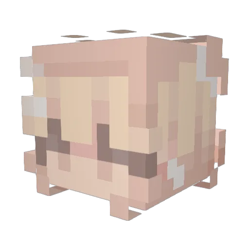 qSunset Minecraft avatar head, 3D render