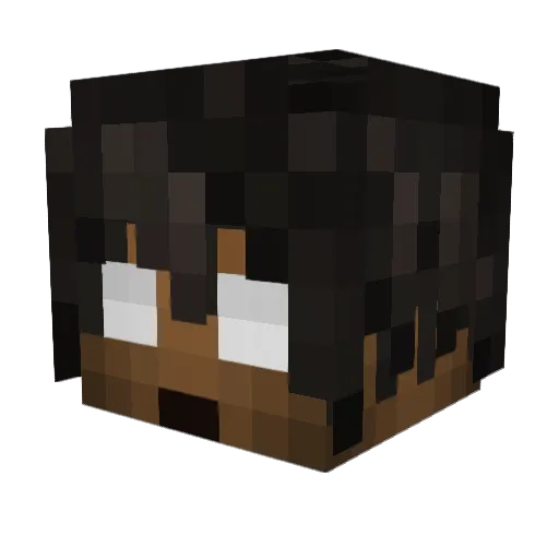 qTOMER Minecraft avatar head, 3D render
