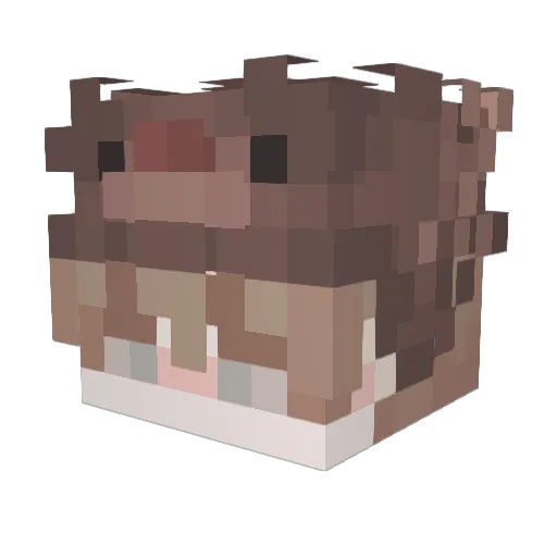 qVince Minecraft avatar head, 3D render