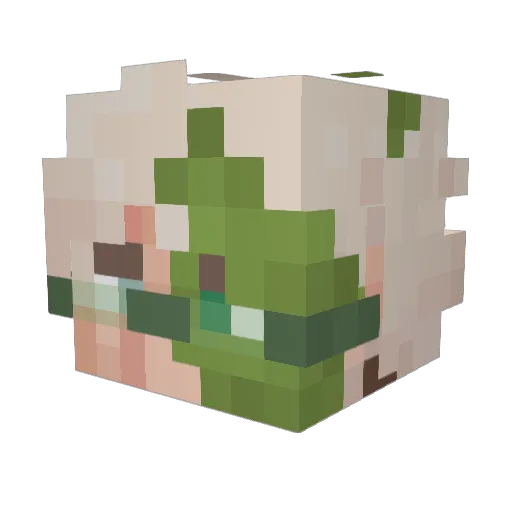 qWeezick_ Minecraft avatar head, 3D render