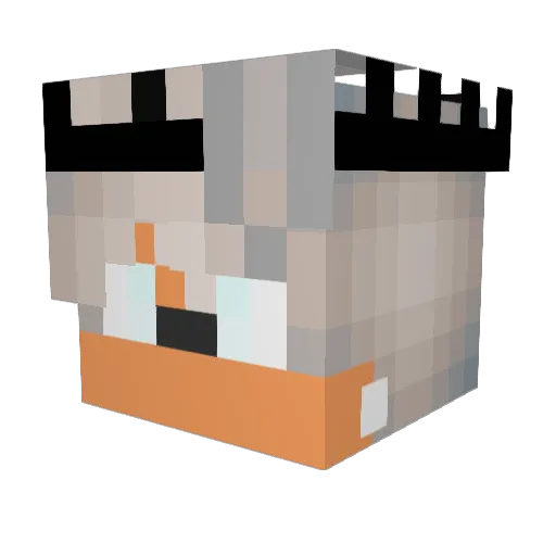 qXavy_ Minecraft avatar head, 3D render