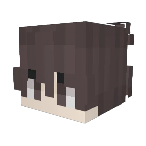 q_nn Minecraft avatar head, 3D render