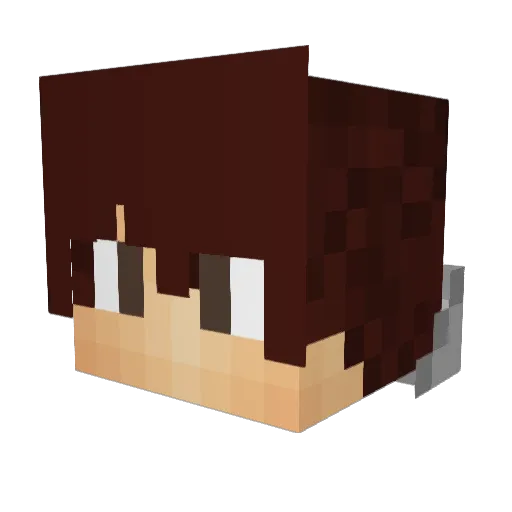 qa55055 Minecraft avatar head, 3D render