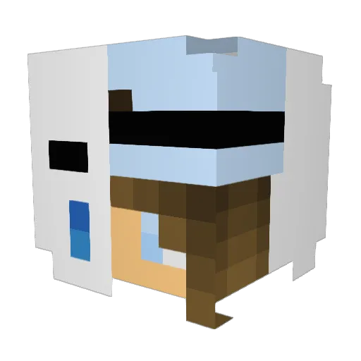 qaqawsss Minecraft avatar head, 3D render