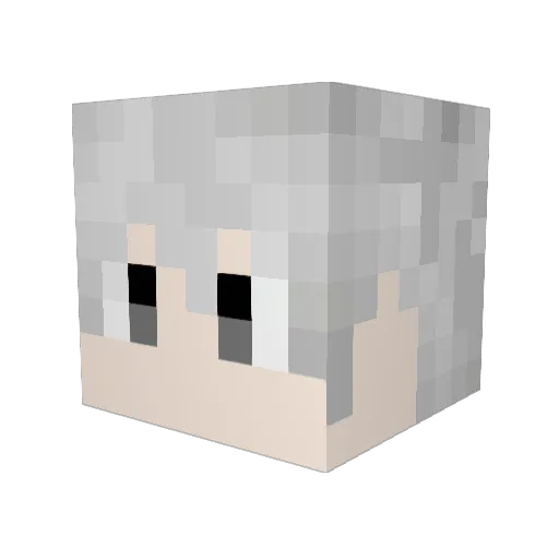qaqwqt Minecraft avatar head, 3D render
