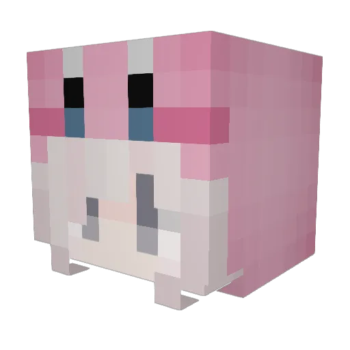 qasil Minecraft avatar head, 3D render
