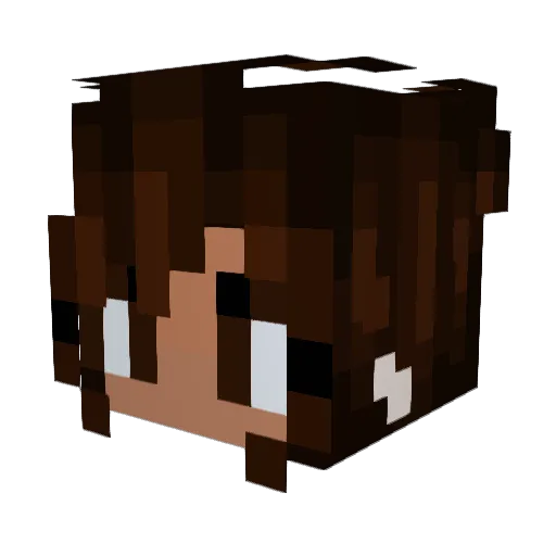 qaudbuster Minecraft avatar head, 3D render