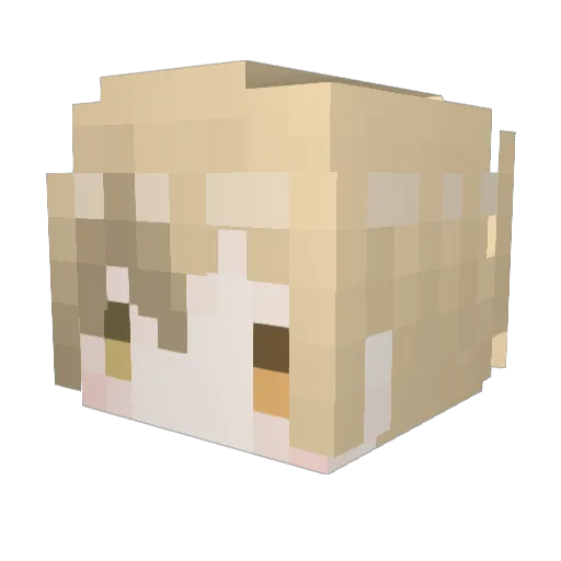 qaz35749599 Minecraft avatar head, 3D render
