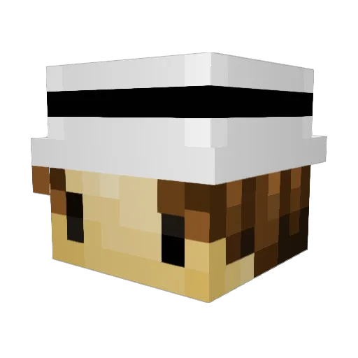 qbitoo Minecraft avatar head, 3D render