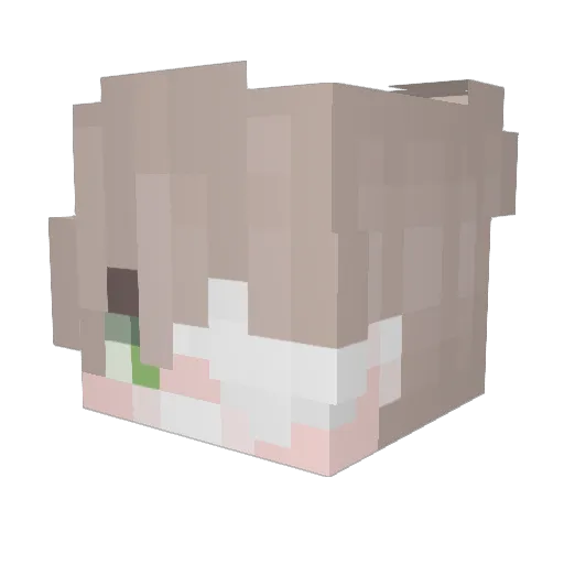 qbryce Minecraft avatar head, 3D render