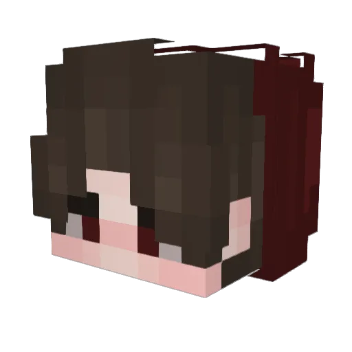 qeEcho Minecraft avatar head, 3D render