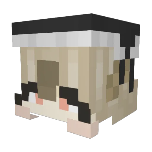 qenz22 Minecraft avatar head, 3D render